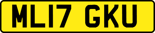 ML17GKU