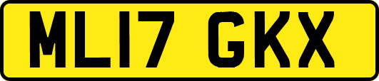 ML17GKX