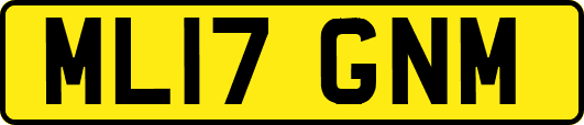 ML17GNM
