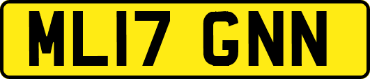 ML17GNN