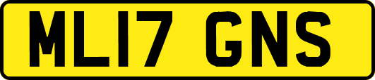 ML17GNS