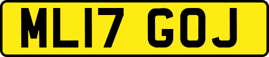 ML17GOJ