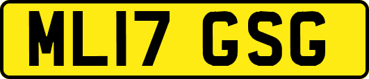 ML17GSG