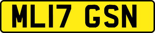 ML17GSN