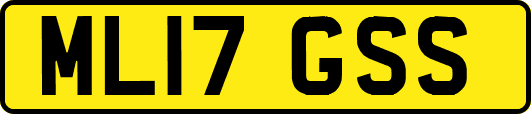 ML17GSS