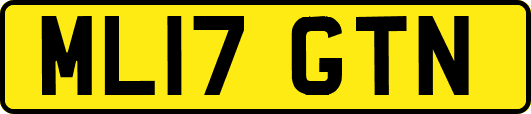 ML17GTN