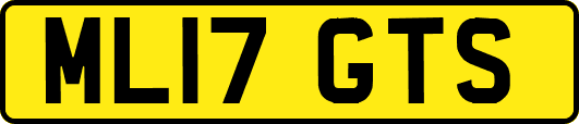 ML17GTS