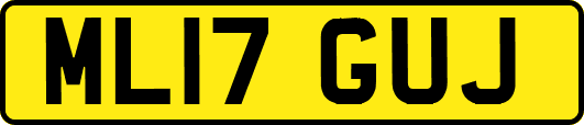 ML17GUJ