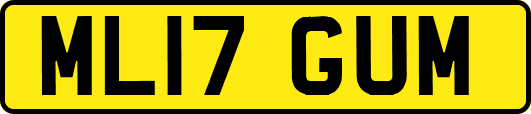 ML17GUM