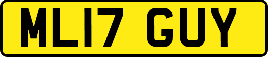 ML17GUY