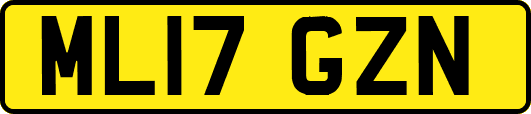 ML17GZN