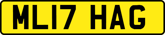 ML17HAG