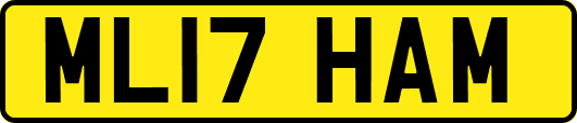 ML17HAM