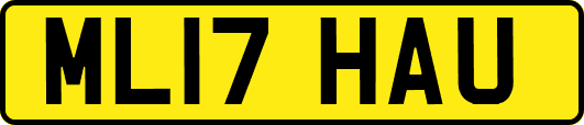ML17HAU