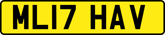 ML17HAV