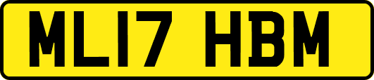 ML17HBM