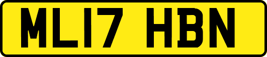 ML17HBN