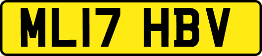 ML17HBV