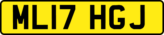 ML17HGJ