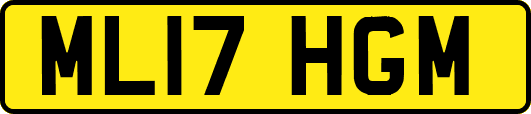 ML17HGM