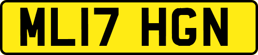 ML17HGN