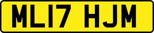 ML17HJM