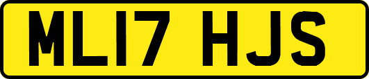 ML17HJS