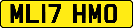 ML17HMO