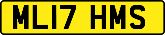 ML17HMS