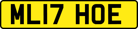 ML17HOE