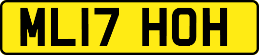 ML17HOH