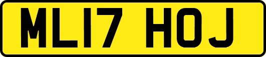 ML17HOJ