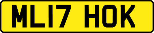ML17HOK
