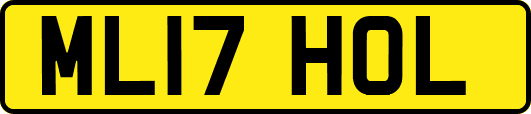 ML17HOL