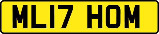 ML17HOM