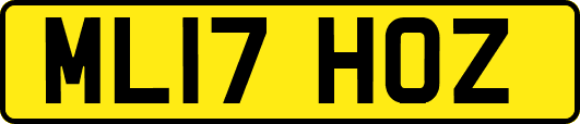 ML17HOZ
