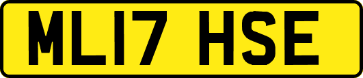 ML17HSE