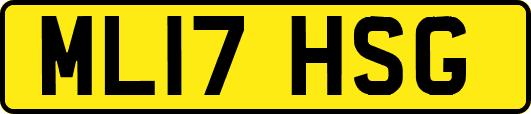 ML17HSG