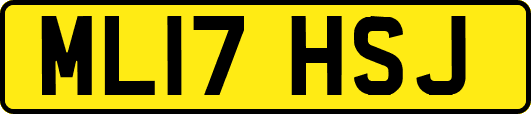 ML17HSJ
