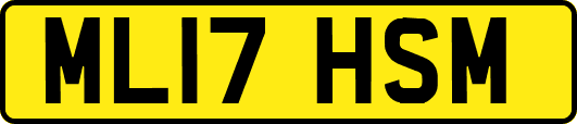ML17HSM