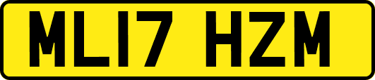ML17HZM