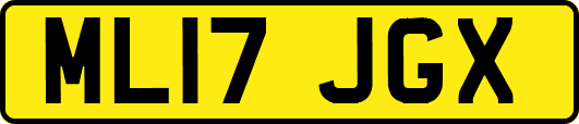 ML17JGX