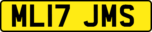ML17JMS