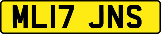 ML17JNS