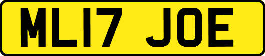 ML17JOE