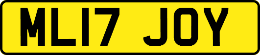 ML17JOY
