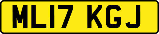 ML17KGJ