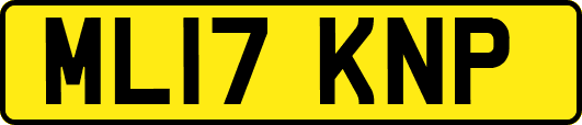 ML17KNP