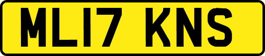 ML17KNS