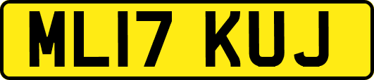 ML17KUJ